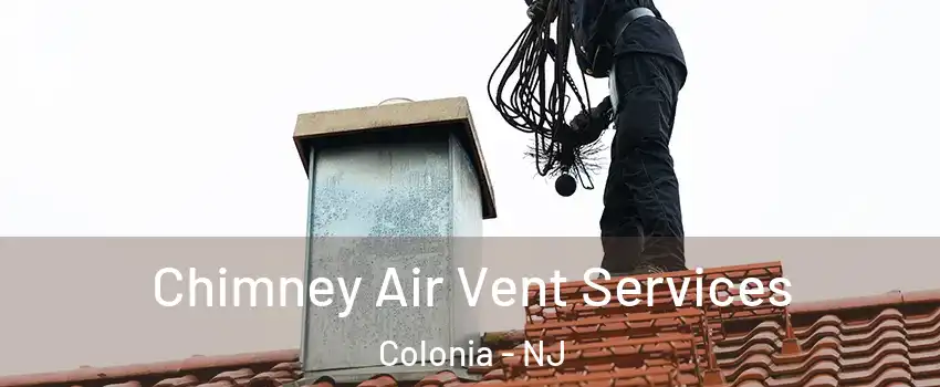  Chimney Air Vent Services Colonia - NJ