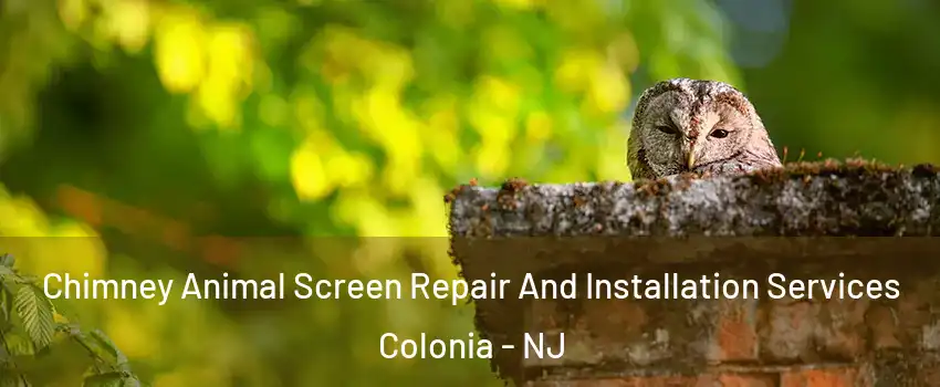  Chimney Animal Screen Repair And Installation Services Colonia - NJ