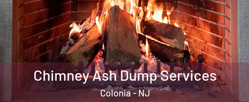  Chimney Ash Dump Services Colonia - NJ