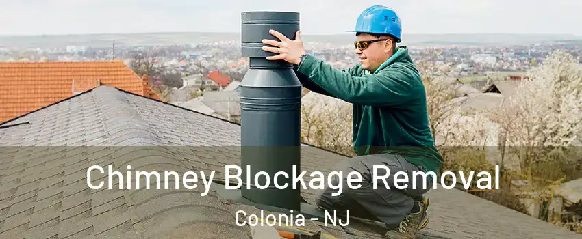  Chimney Blockage Removal Colonia - NJ