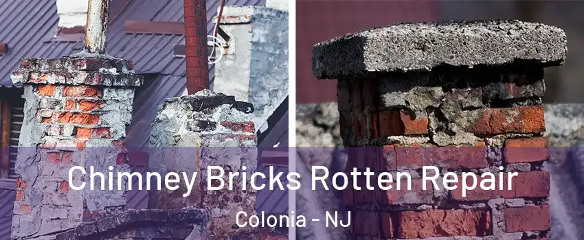  Chimney Bricks Rotten Repair Colonia - NJ
