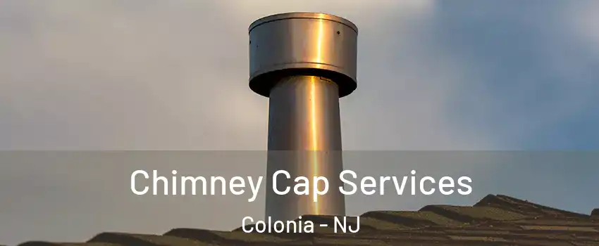 Chimney Cap Services Colonia - NJ