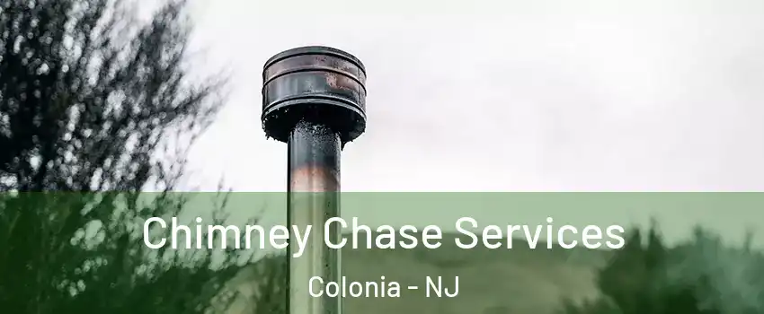  Chimney Chase Services Colonia - NJ