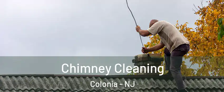  Chimney Cleaning Colonia - NJ