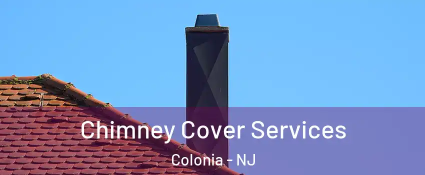  Chimney Cover Services Colonia - NJ