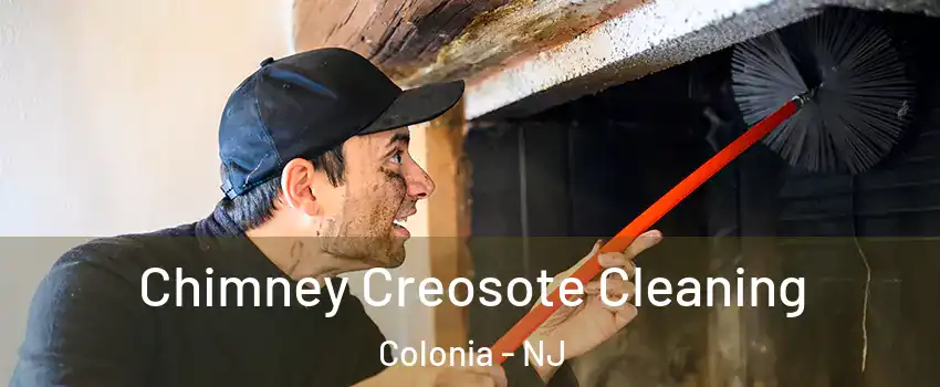  Chimney Creosote Cleaning Colonia - NJ