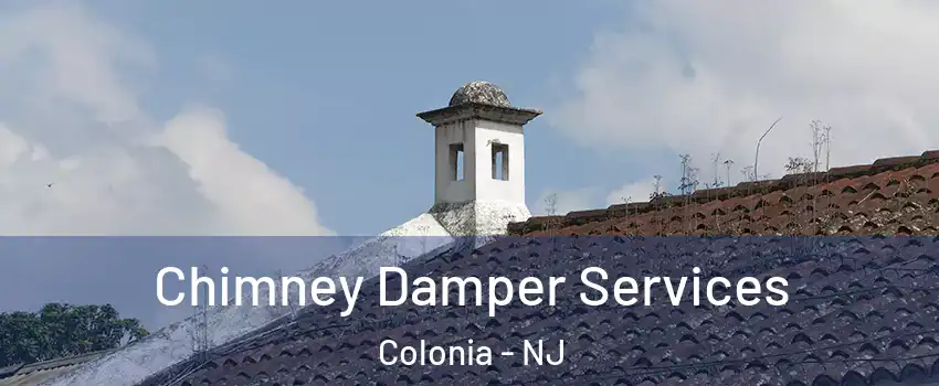  Chimney Damper Services Colonia - NJ