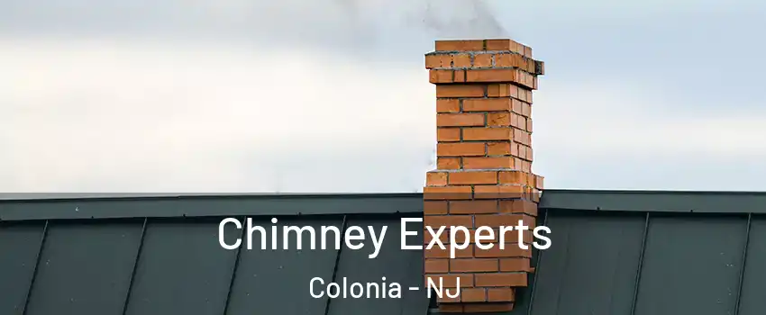  Chimney Experts Colonia - NJ