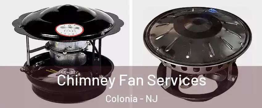  Chimney Fan Services Colonia - NJ
