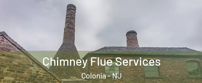 Chimney Flue Services Colonia - NJ