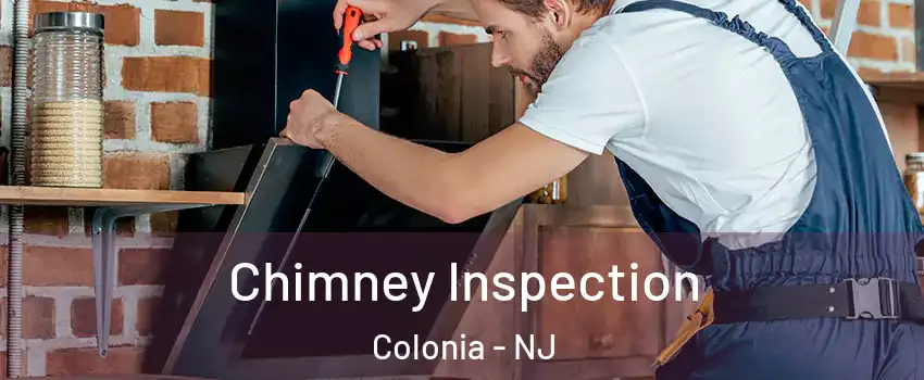  Chimney Inspection Colonia - NJ