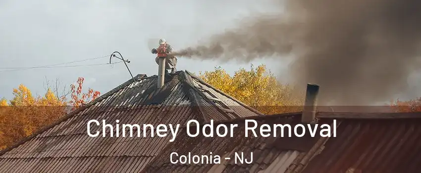  Chimney Odor Removal Colonia - NJ