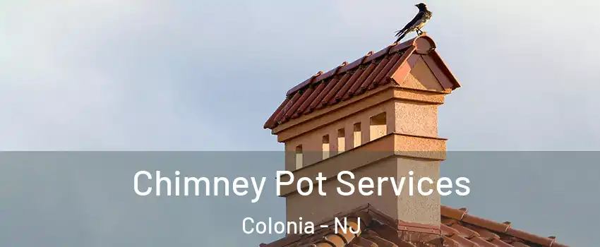  Chimney Pot Services Colonia - NJ