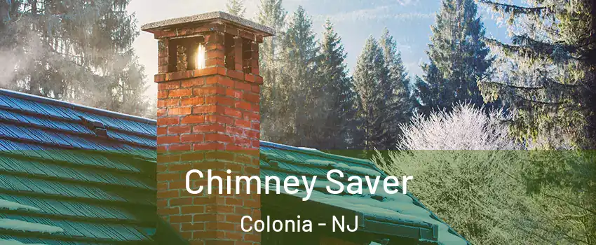  Chimney Saver Colonia - NJ