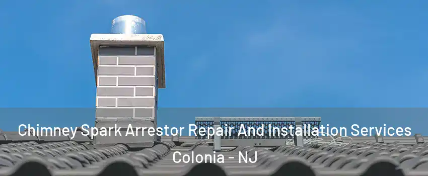  Chimney Spark Arrestor Repair And Installation Services Colonia - NJ