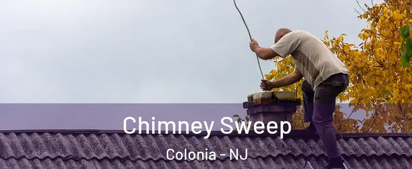  Chimney Sweep Colonia - NJ