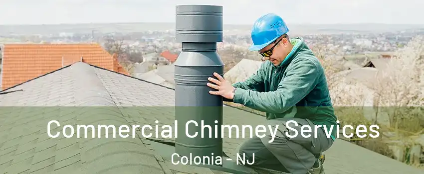  Commercial Chimney Services Colonia - NJ