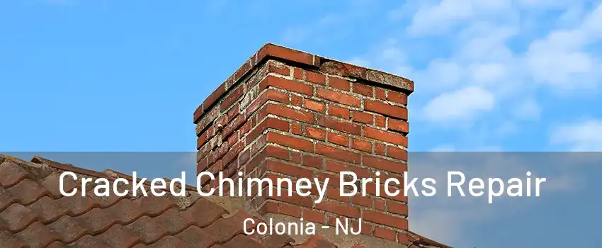  Cracked Chimney Bricks Repair Colonia - NJ