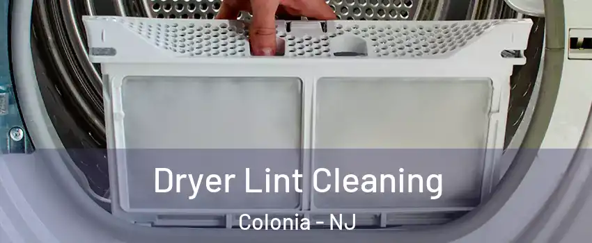  Dryer Lint Cleaning Colonia - NJ