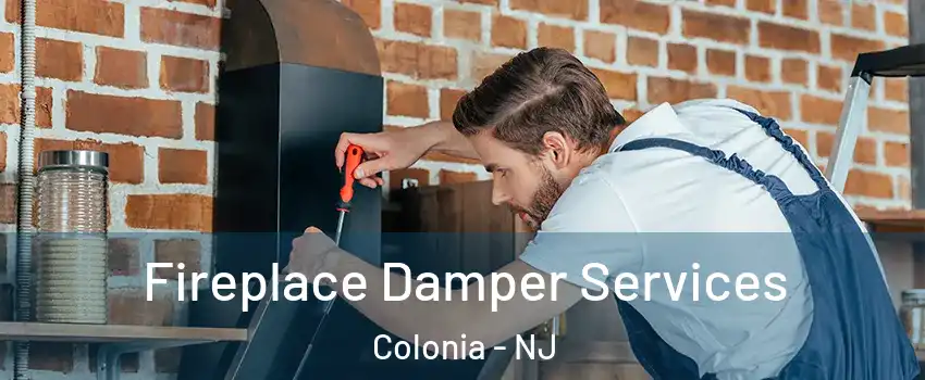  Fireplace Damper Services Colonia - NJ