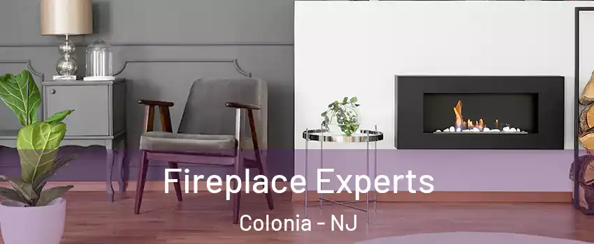  Fireplace Experts Colonia - NJ