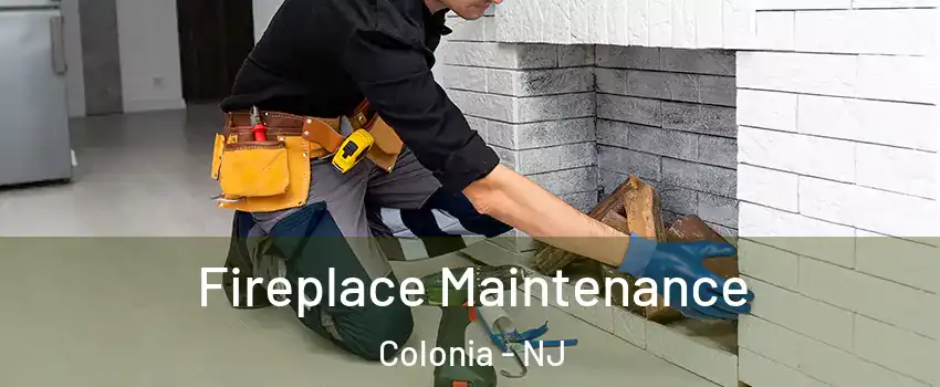  Fireplace Maintenance Colonia - NJ