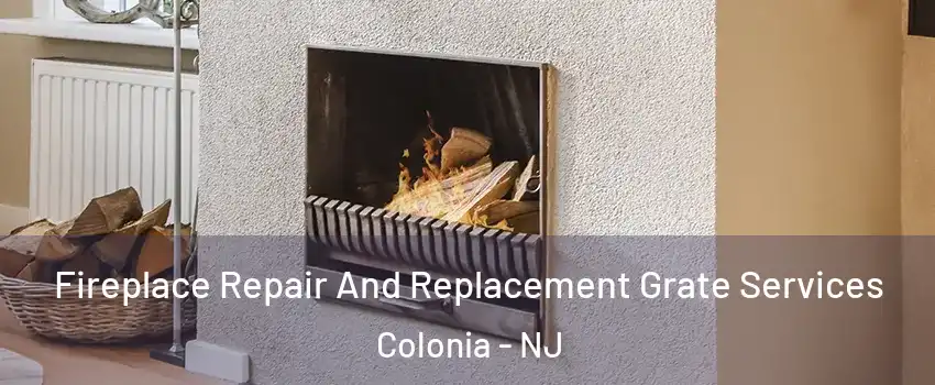  Fireplace Repair And Replacement Grate Services Colonia - NJ