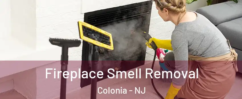  Fireplace Smell Removal Colonia - NJ