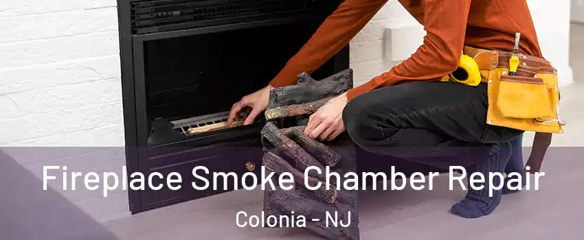  Fireplace Smoke Chamber Repair Colonia - NJ