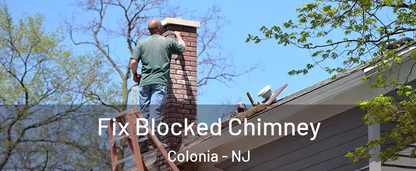  Fix Blocked Chimney Colonia - NJ