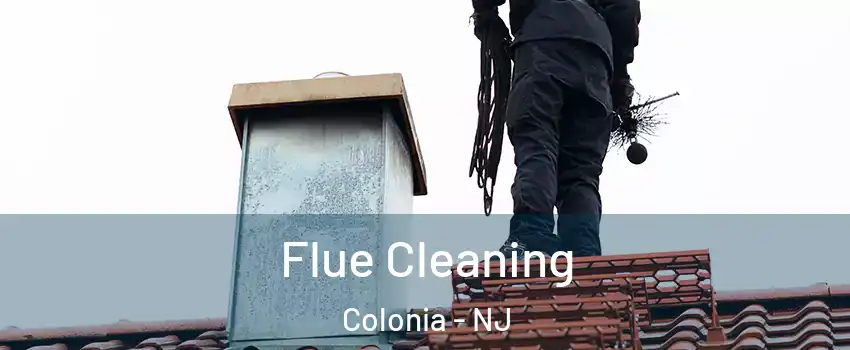  Flue Cleaning Colonia - NJ