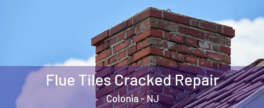  Flue Tiles Cracked Repair Colonia - NJ