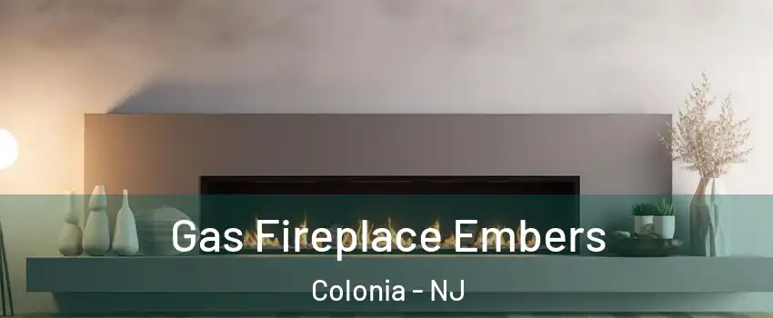  Gas Fireplace Embers Colonia - NJ
