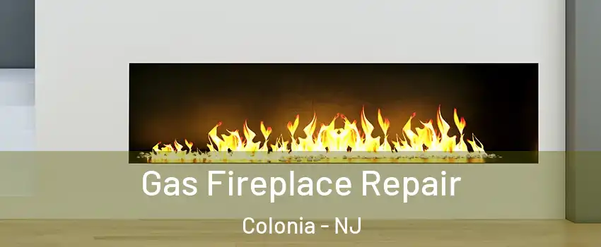  Gas Fireplace Repair Colonia - NJ