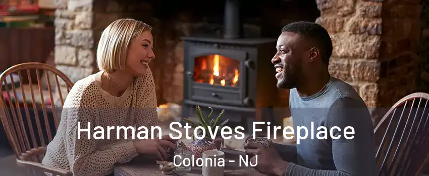  Harman Stoves Fireplace Colonia - NJ