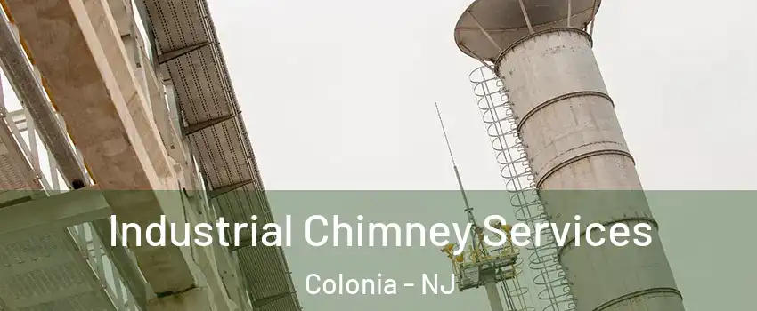  Industrial Chimney Services Colonia - NJ