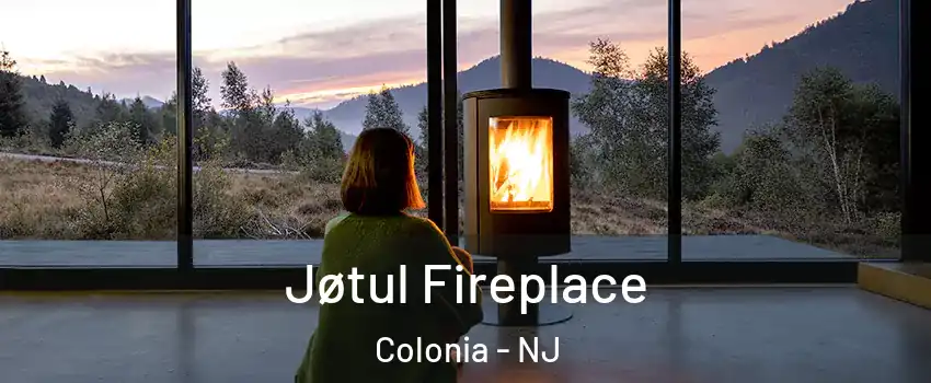  Jøtul Fireplace Colonia - NJ