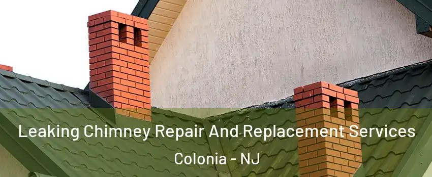  Leaking Chimney Repair And Replacement Services Colonia - NJ