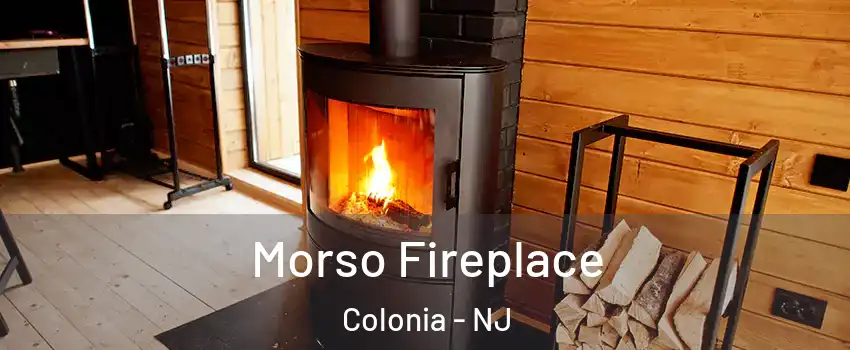  Morso Fireplace Colonia - NJ