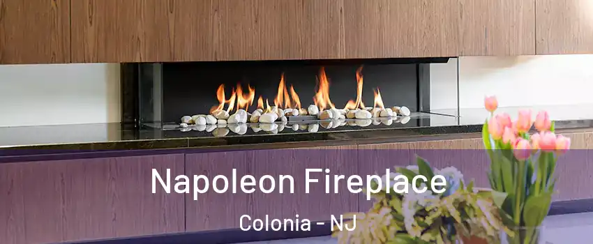  Napoleon Fireplace Colonia - NJ