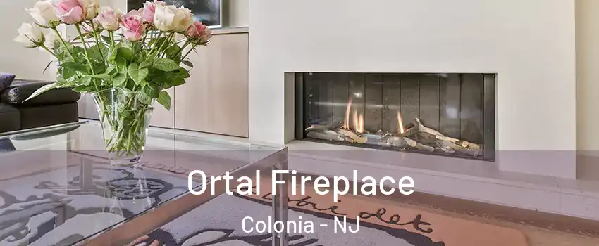  Ortal Fireplace Colonia - NJ