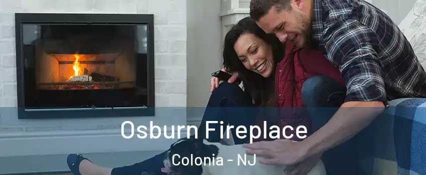 Osburn Fireplace Colonia - NJ