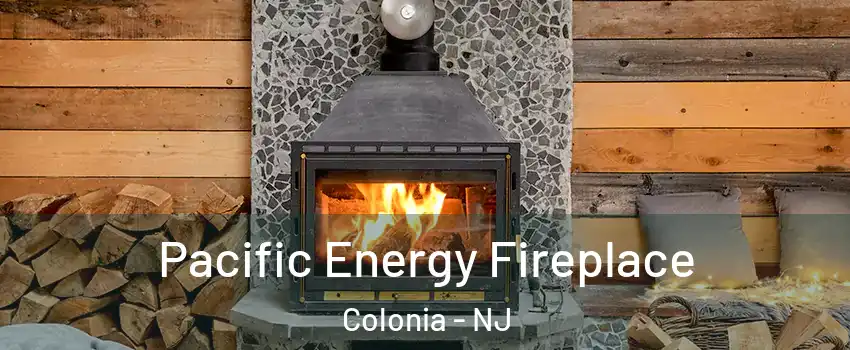  Pacific Energy Fireplace Colonia - NJ