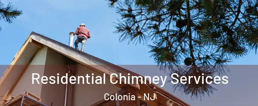  Residential Chimney Services Colonia - NJ
