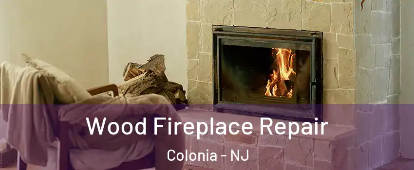  Wood Fireplace Repair Colonia - NJ