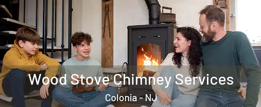  Wood Stove Chimney Services Colonia - NJ