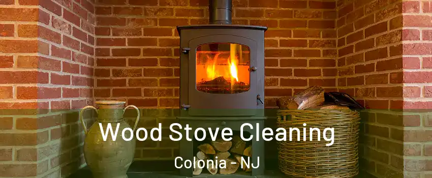  Wood Stove Cleaning Colonia - NJ