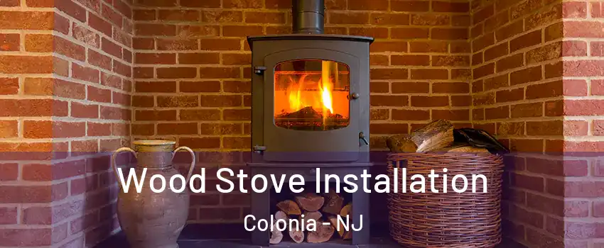  Wood Stove Installation Colonia - NJ